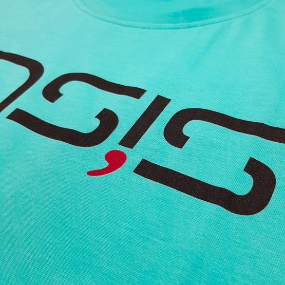 Mens T-Shirt ENSIS Logo Mint