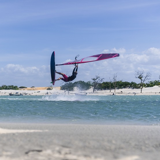 Windsurf sail NeilPryde Wizard PRO 2025 Hot Pink/Berry