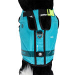 Radar Dog Life Vest